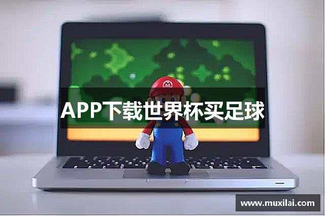 APP下载世界杯买足球